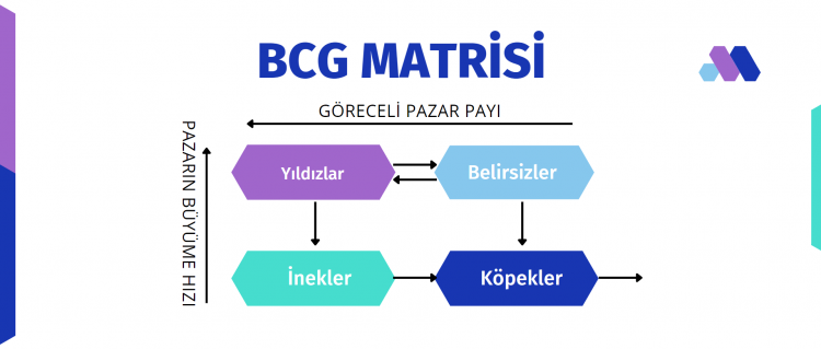 BCG Matrisi
